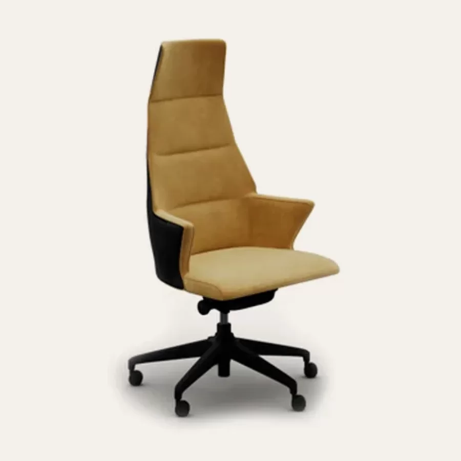 Scaun de birou Merak Plus Epoque, mobila de living, colectia Exence Expanse